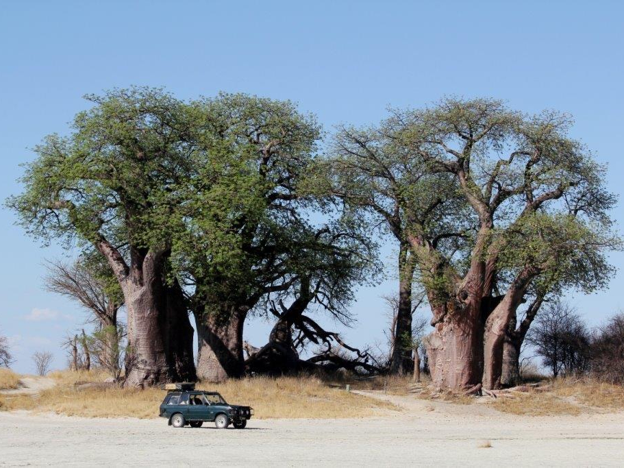 africa great road Road